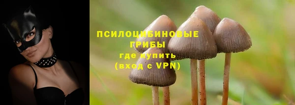 метадон Арсеньев
