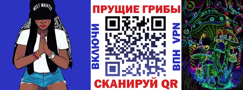 Галлюциногенные грибы Psilocybe  Хотьково 